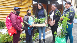 Imágenes de Multicanal